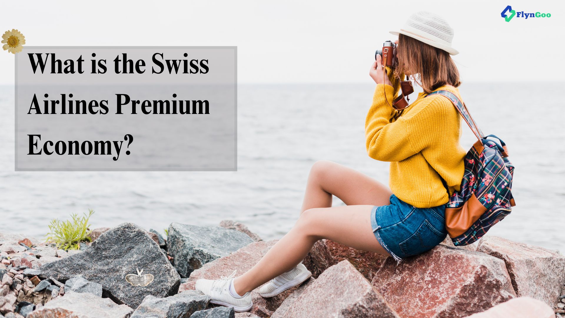 What is the Swiss Airlines Premium Economy? 